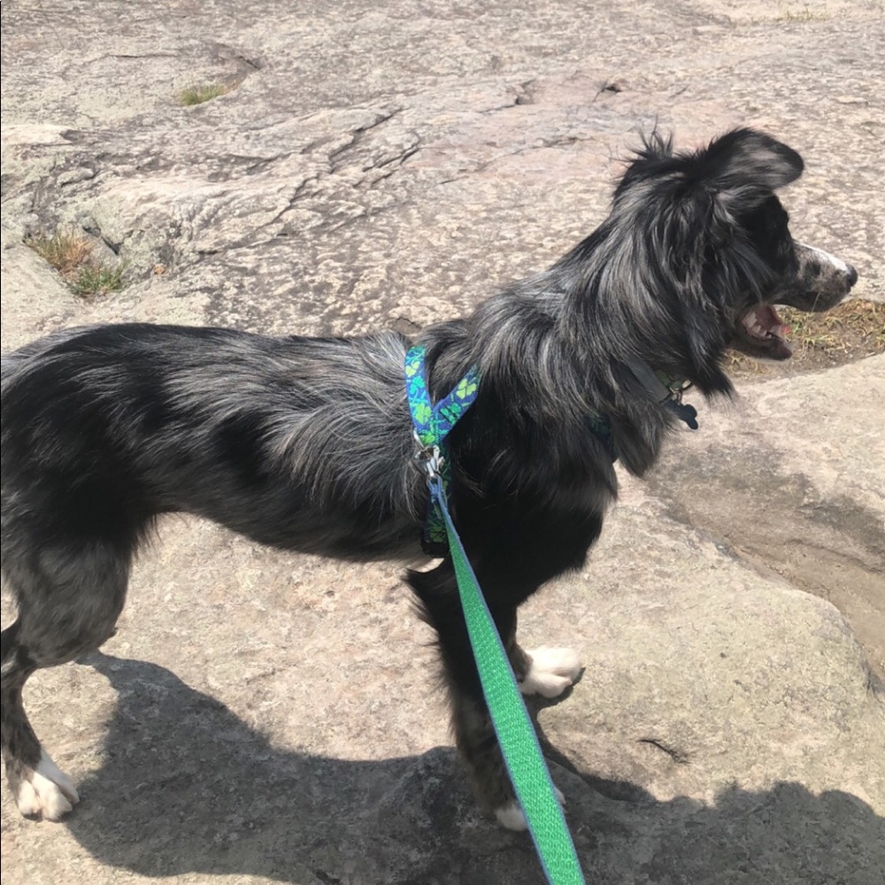 Meet your Posher, Cyle